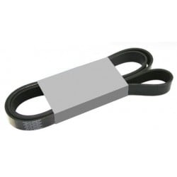 Courroie Accessoires 8PK1369