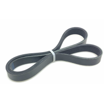 Courroie strié-V, Radiateur POUR RENAULT MAGNUM  5000678543