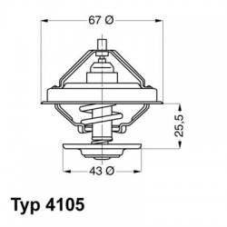 Thermostat °C 75 pour DAF...