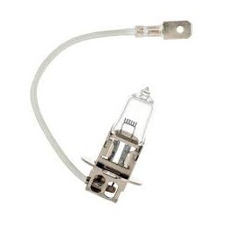 Ampoule H3 - 24V-70W - MDuty