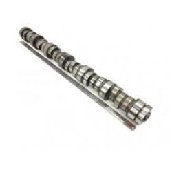 Arbre à cames pour DAF 2002045