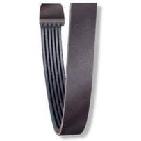 Courroie alternateur pour Volvo FM / FH 20580937