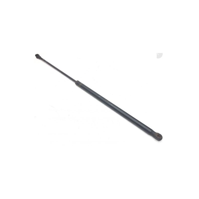 Lot de 2 Vérins à gaz de calandre pour Renault 5010623108