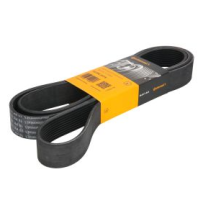 Courroie multi-nervures pour DAF / 1704613