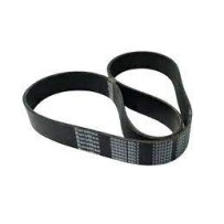 Courroie multi-nervures pour Volvo 977825