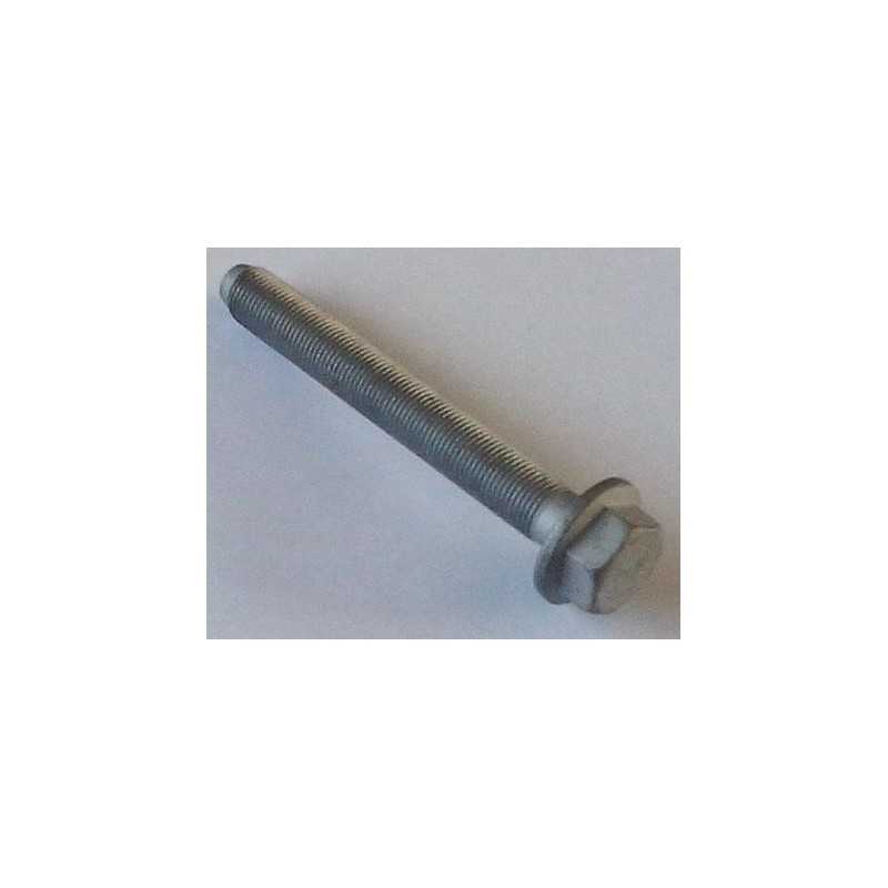 Vis de suspension de Renault 5003002088