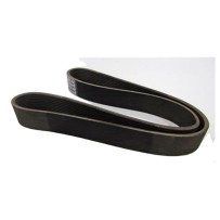 Courroie multi-nervures pour Volvo 20430384 - 981338