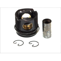 Piston avec axe et segments pour Mercedes Benz 5410303737