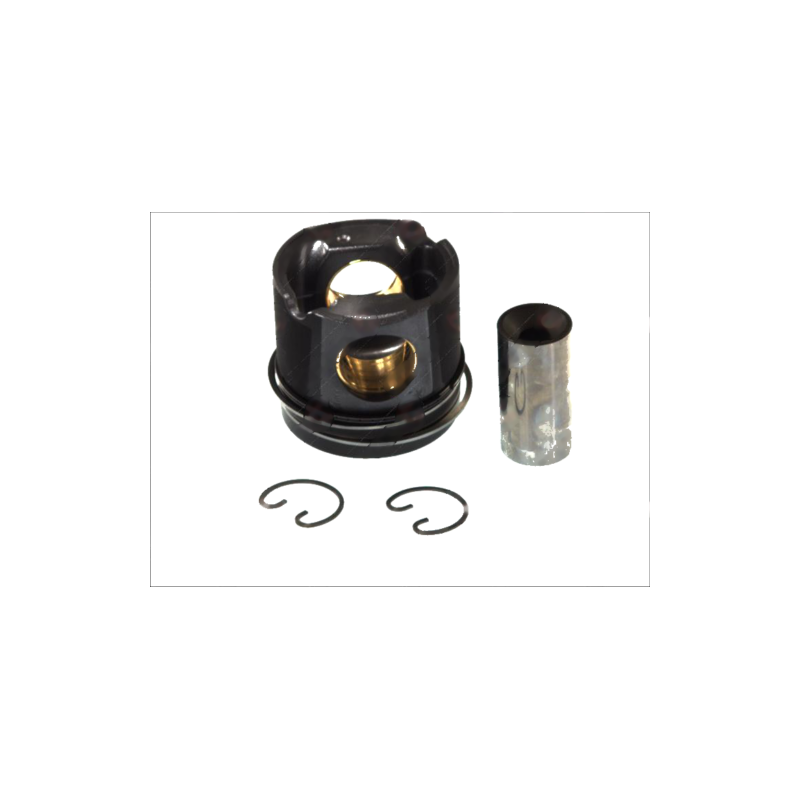 Piston avec axe et segments pour Mercedes Benz 5410303737