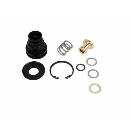 Kit Réparation Soupape De Décharge Watts 0887785 - Neuf - Laiton Brossé - Remplace RK 009M2 VT