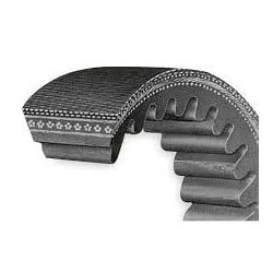 Courroie  L1125 mm pour...