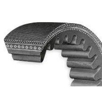 Courroie  L1125 mm pour Volvo 3252729