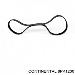 Courroie moteur pour Iveco...