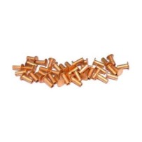 Lot de 100 rivets pour segments de frein 6X15 ACIER