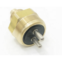 Sonde de température pour Renault S 5000791108