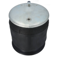 Coussin d'air de suspension pour Daf 1405407