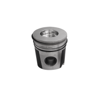 PISTON 8210.42k pour Iveco 1908874