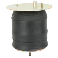 Coussin d'air avec piston acier pour Renault Premium – 5010488757