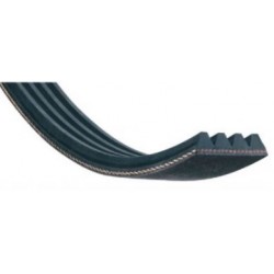 Courroie Continental 7PK1642
