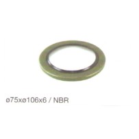 Joint spi tete de pont pour Renault Trucks  0024472616