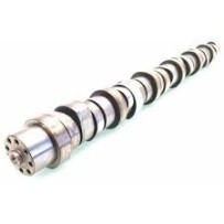 Arbre à cames pour  Renault trucks  7421698059
