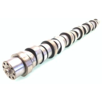 Arbre à cames origine pour Renault 7423289181