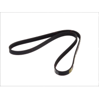 Courroie multi-nervures K5T LONGUEUR 1035 pour Renault Truck 5010477335