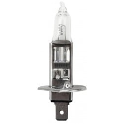 Lot de 10 ampoules H1 12V