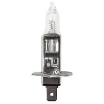 Lot de 10 ampoules H1 12V