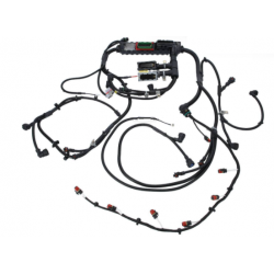 Faisceau Injecteur moteur...