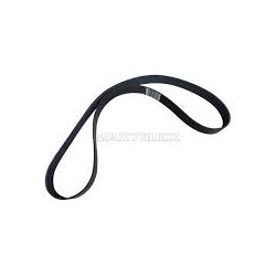 Courroie multi-nervures...