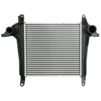 Radiateur d'air de suralimentation Intercooler pour Man 81061300228