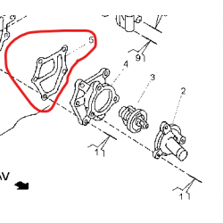 Joint de thermostat pour...