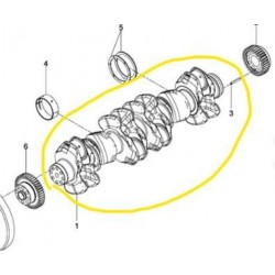 Vilebrequin pour MAN 51021010801 - 51021010632 - 51021010634