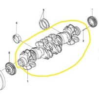 Vilebrequin pour MAN 51021010801 - 51021010632 - 51021010634