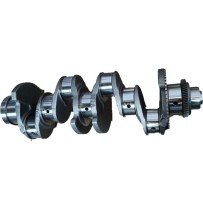 Vilebrequin pour Iveco 504017281