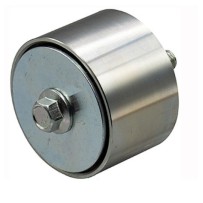 Galet de courroie d'accessoires pour Iveco 5801674387