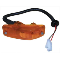 Feu clignotant latéral pour Daf - 1814096