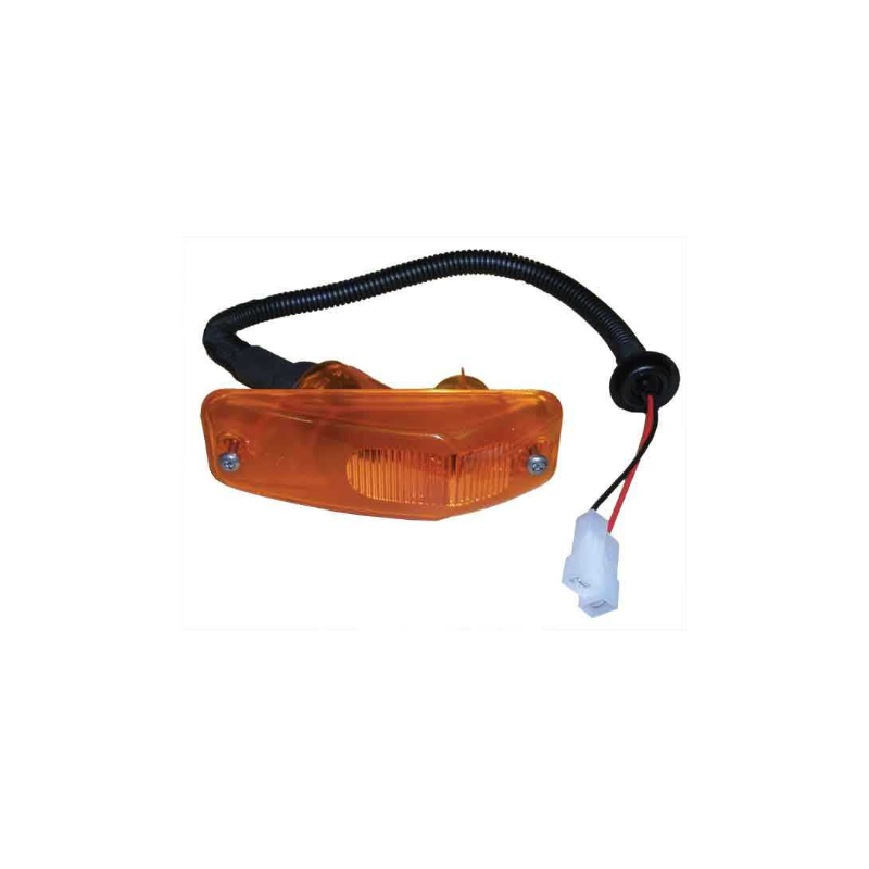 Feu clignotant latéral pour Daf - 1814096