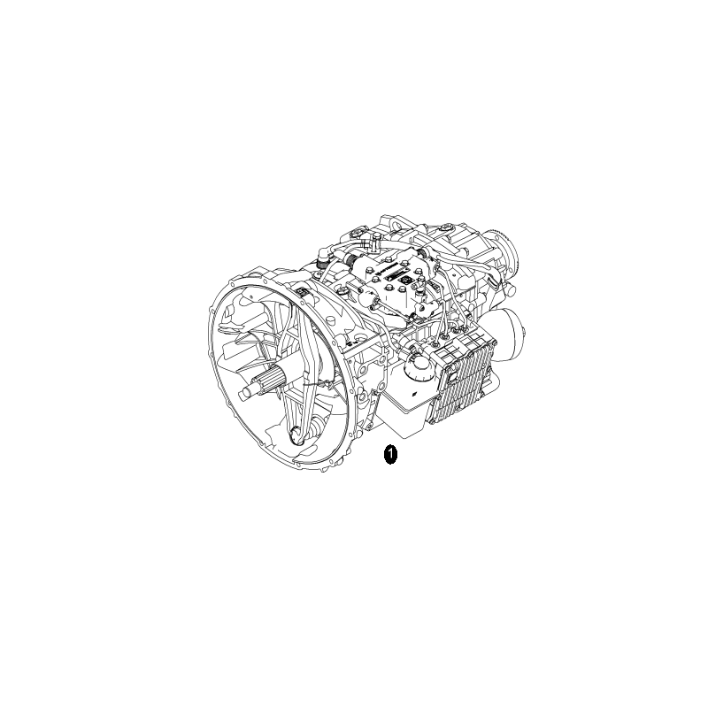 Boite de vitesse pour Man (Echange standart) - 81320046196