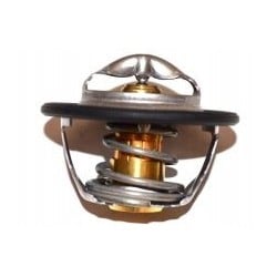 Thermostat pour Iveco...