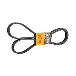 COURROIE STRIEE HD...