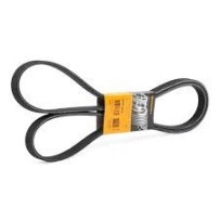 COURROIE STRIEE HD 8628pk2215hd