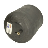 Coussin d'air AR pour Mercedes Benz Atego