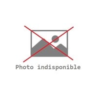 Valve purge du réservoir d’air pour Renault Trucks 7424359241