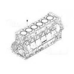 Bloc moteur pour MAN...