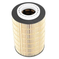 Filtre huile pour Man 51055010013