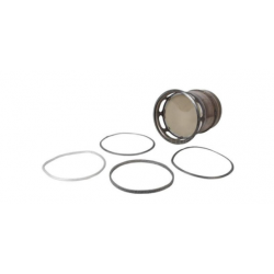Filtre à particule pour DAF - 2410280