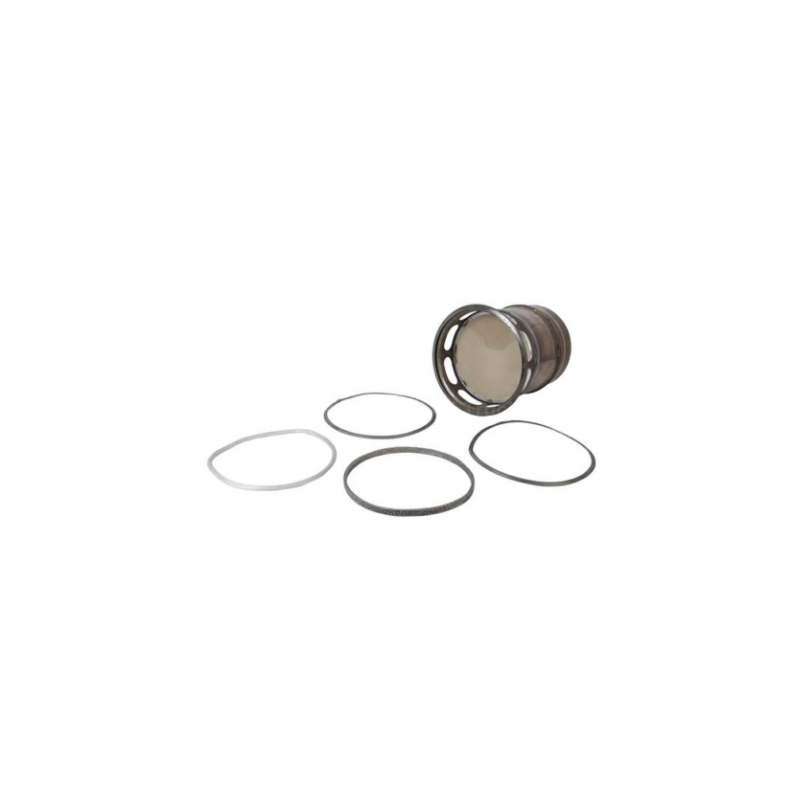 Filtre à particule pour DAF - 2410280