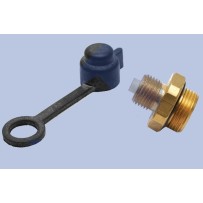 Valve test de pression pour cuve d'air M22x1.5